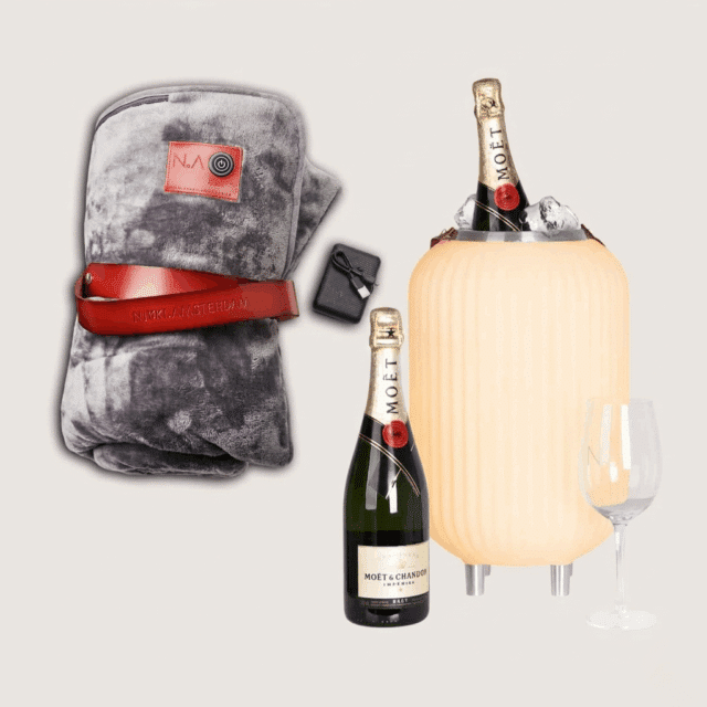 combination deal of infrared heating blanket and wine cooler with speaker